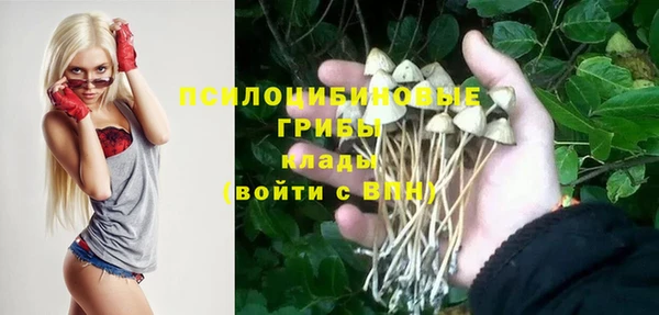 прущий лед Кукмор