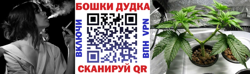 Купить закладки  Ростов-на-Дону  Бошки Шишки конопля